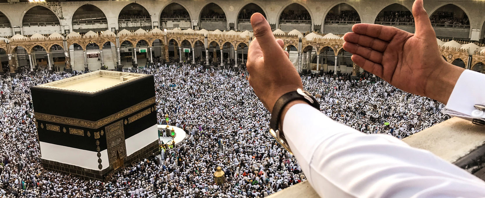 عروض الفنادق